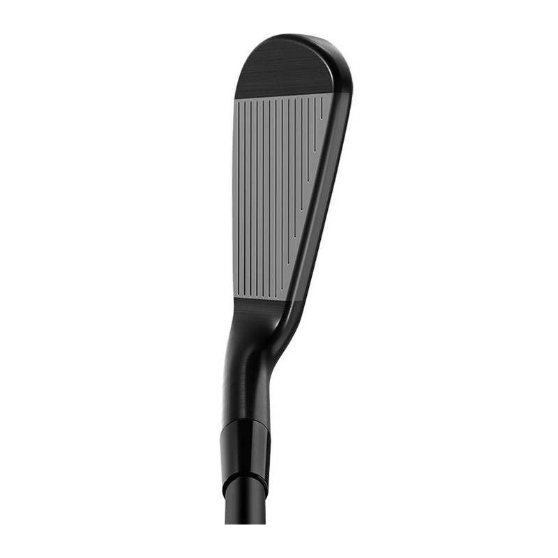 TaylorMade P790 Shadowfall Irons